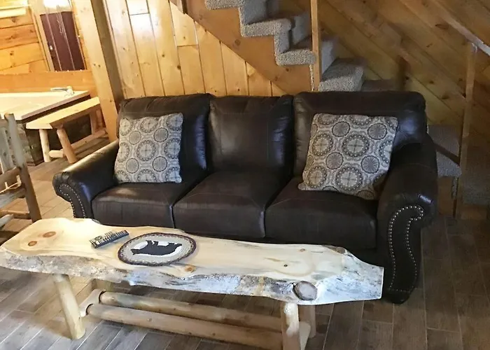 Dollywood-Brand New Dancing Bear 4